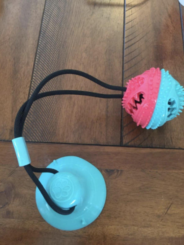 PawBall™ Tug dog Toy - Customer Photo From Reef Potter