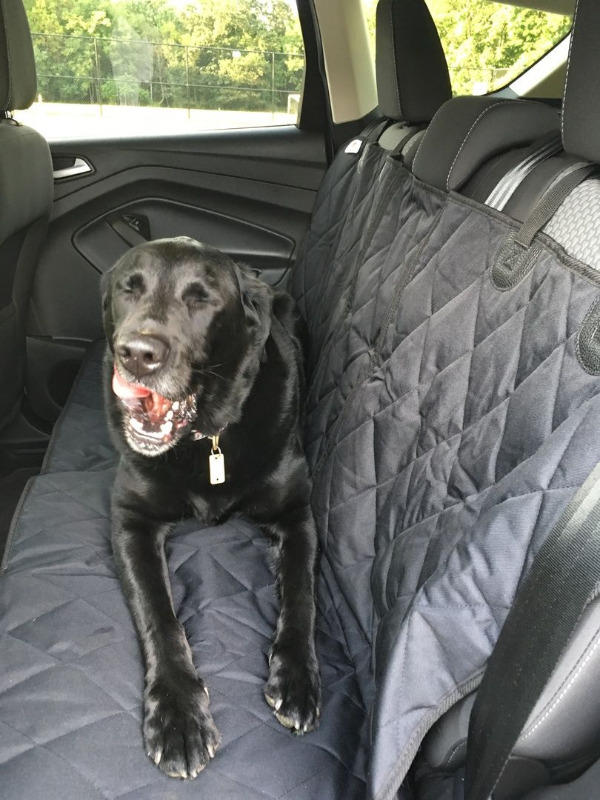 Premium Dog Rear Car Seat Cover – Perfect Paw Store