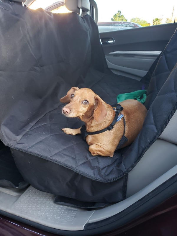 PawRoll™ Multi-Function Dog Car Seat Cover - Customer Photo From Candice Sumner