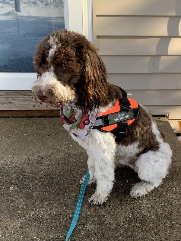 Personalized PawRoll™ Harness (2022) - Customer Photo From Haydn Robins