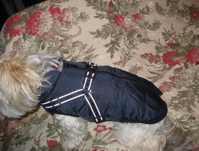 PawRoll Dog Winter Jacket - Customer Photo From Tanisha Stuart