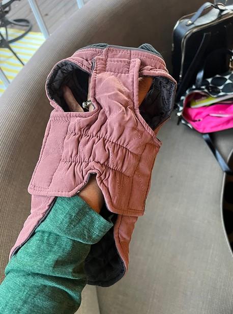 All-Purpose Reflective Quilted Dog Jacket - Customer Photo From Heath Love