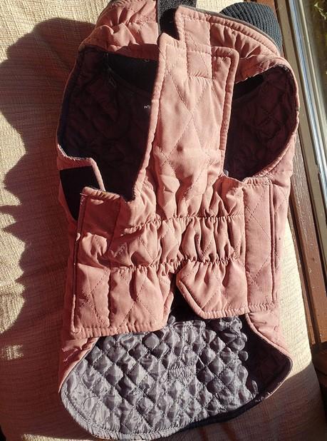 All-Purpose Reflective Quilted Dog Jacket - Customer Photo From Freddie Bailey