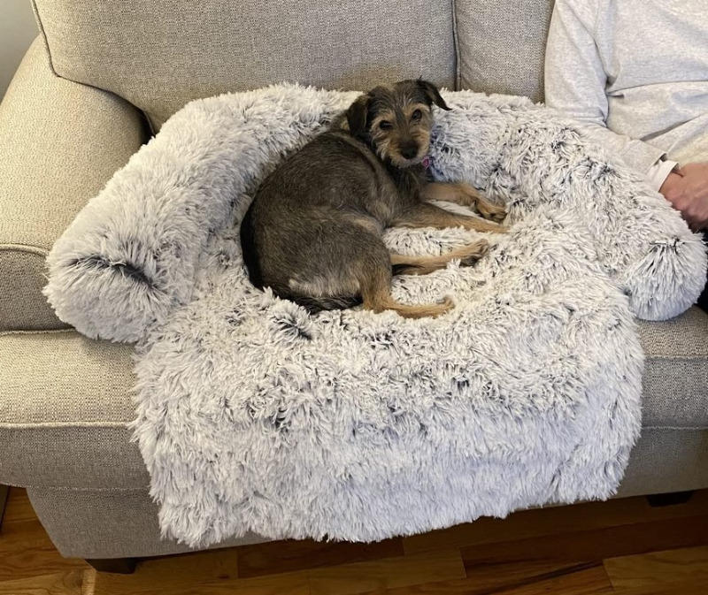 PawRoll™ Calming Sofa Dog Bed - Customer Photo From Sama Holman