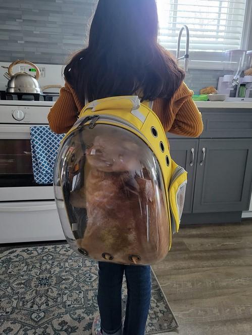 PawRoll Cat Bubble Backpack Carrier (2022) - Customer Photo From Frida Santiago