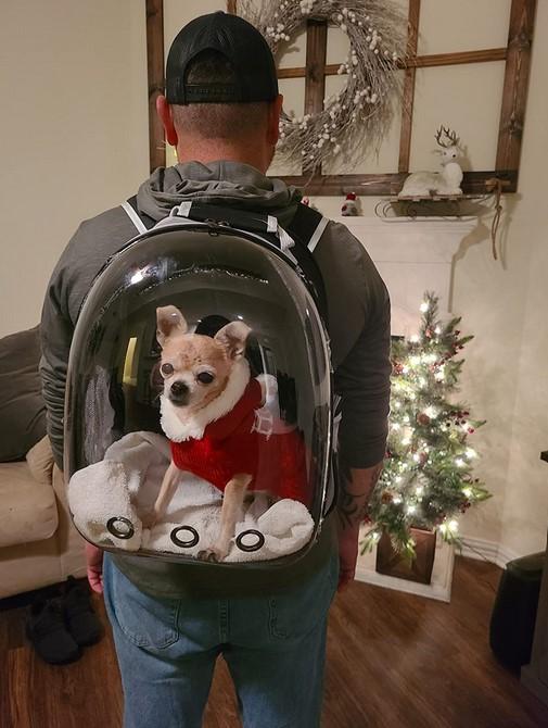 PawRoll Cat Bubble Backpack Carrier (2022) - Customer Photo From Matteo Riggs