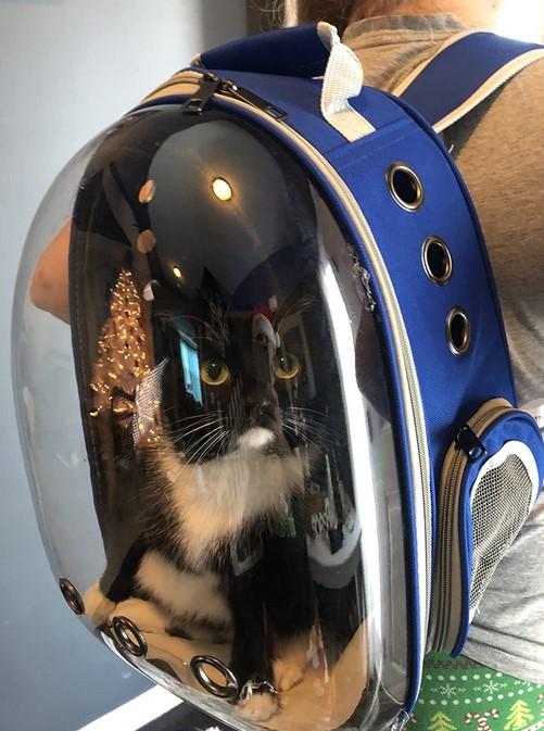 PawRoll Cat Bubble Backpack Carrier (2022) - Customer Photo From Zunairah Frost