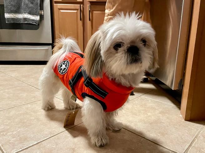 New PawRoll™ Dog Winter Waterproof Jacket - Customer Photo From Precious Bruce