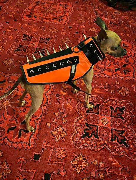PawRoll™ Dog Spike Vest Harness Pro - Customer Photo From Byron Ochoa
