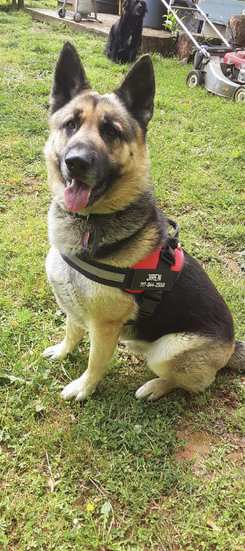 Personalized PawRoll™ No Pull Dog Harness - Customer Photo From Umar Mcleod