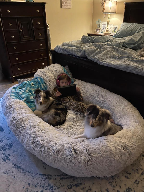 Premium PawRoll Human Dog Bed - Customer Photo From Hazel Campbell