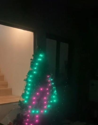 LED Smart Christmas Tree Lights - Customer Photo From Cynthia M.