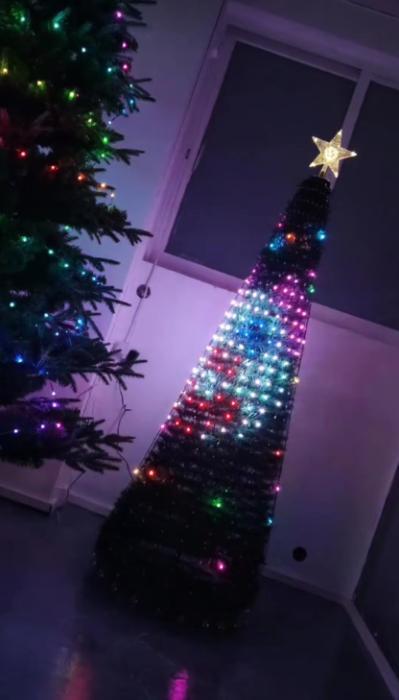 LED Smart Christmas Tree Lights - Customer Photo From James C.