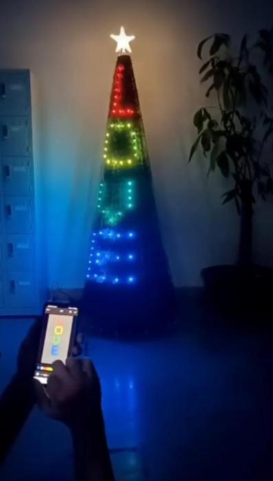 LED Smart Christmas Tree Lights - Customer Photo From Wilma C.