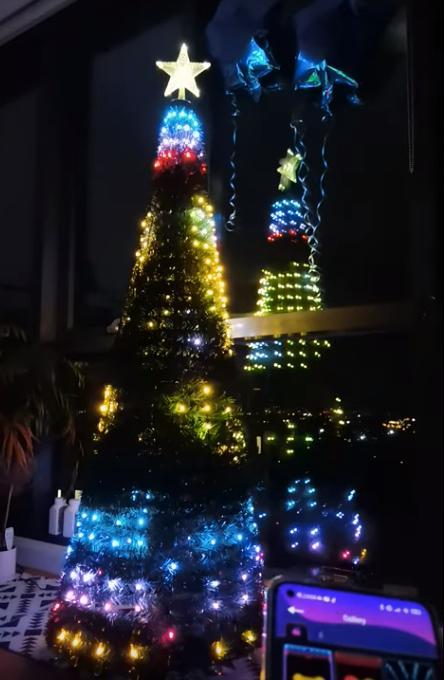LED Smart Christmas Tree Lights - Customer Photo From George S.