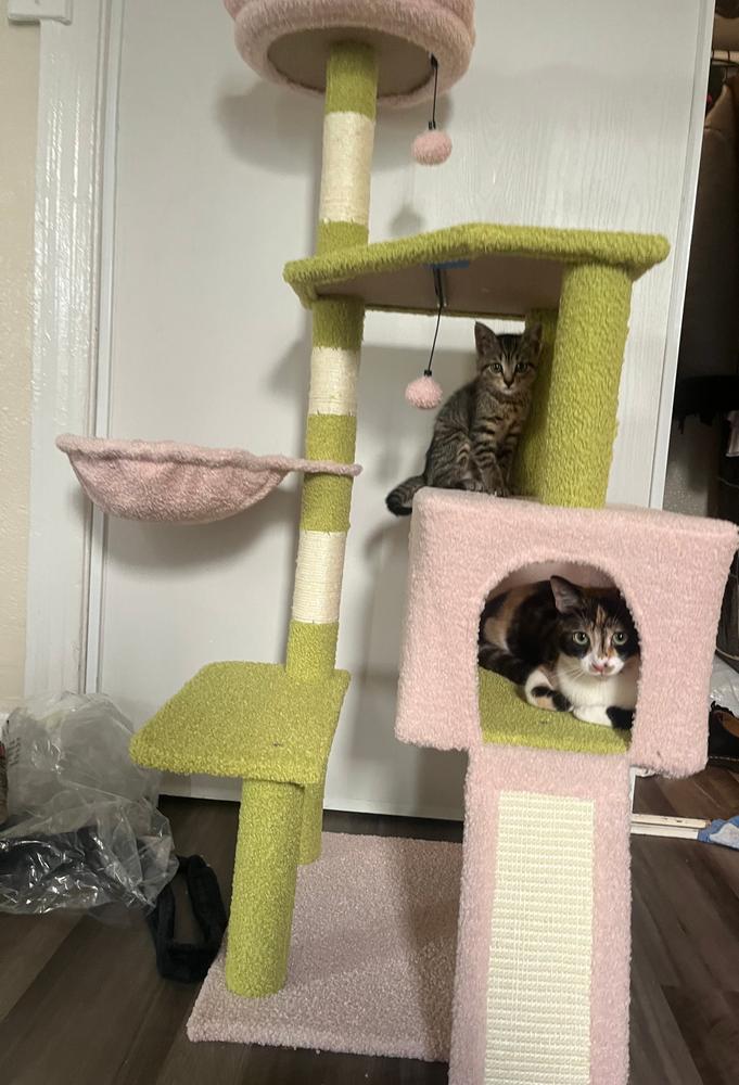 FELIWAY® Multicat Diffuser Kit - Customer Photo From Harrison M.