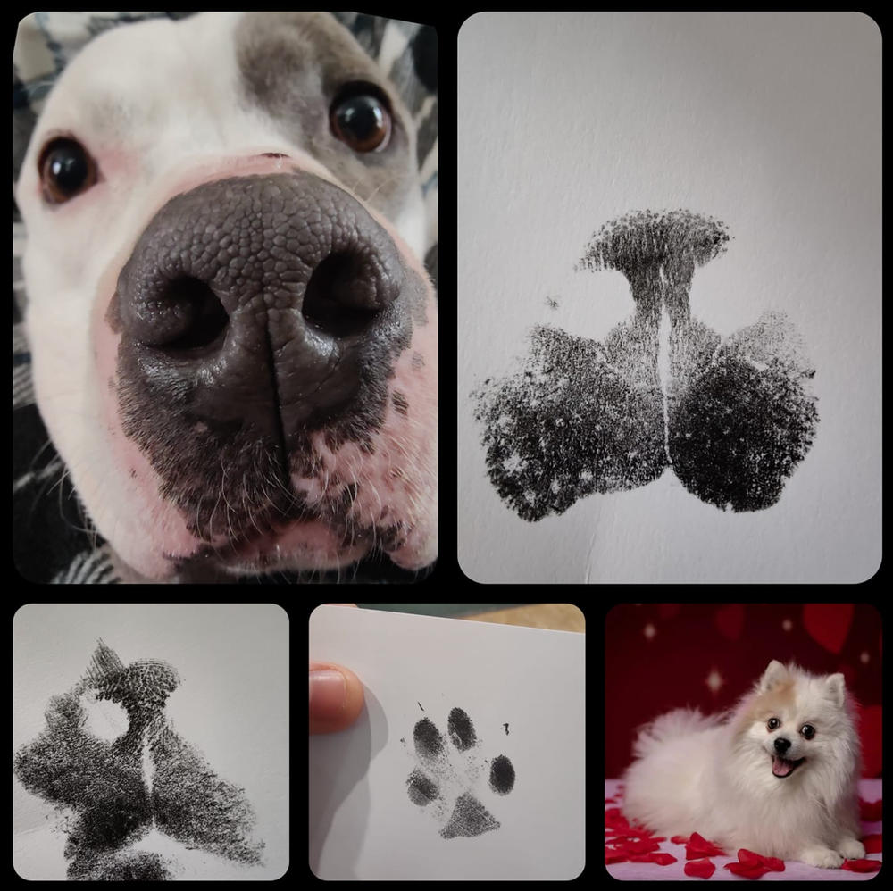Plus Size Paw Print & Nose Print Bundle - Customer Photo From Shannon