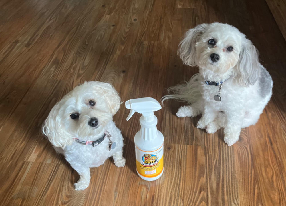 FurryFreshness Pet Stain & Odor Remover (Gallon Options) - Customer Photo From Kerry B.