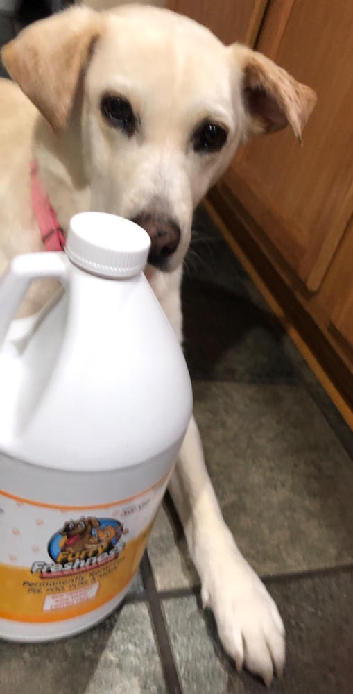 Weekly Special FurryFreshness Gallon - Customer Photo From Coleen W.