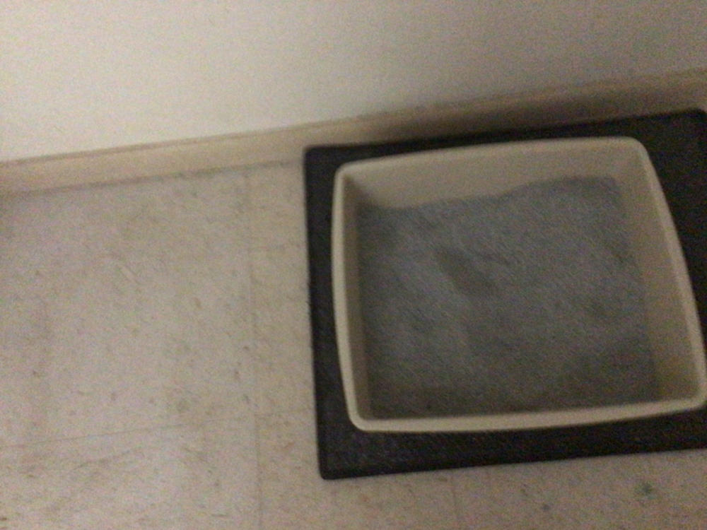 Longer Litter Cat Litter Box Deodorizer & Odor Eliminator - Customer Photo From Jean M.