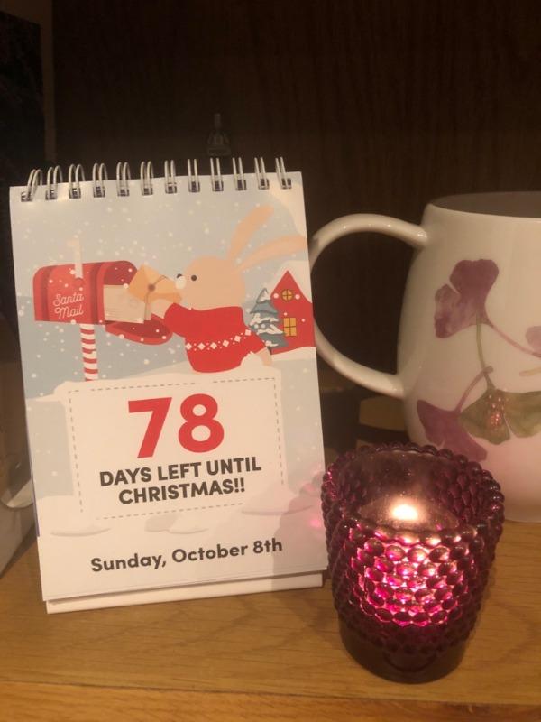 100 Day Christmas Countdown Official Calendar 2024 - Customer Photo From Gregory Abel