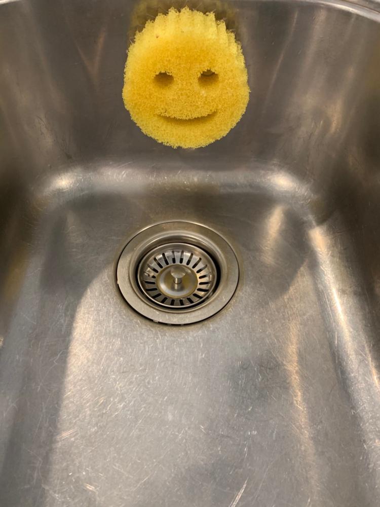 Scrub Daddy Colours  (6 Pack) - Customer Photo From Carmel Harris