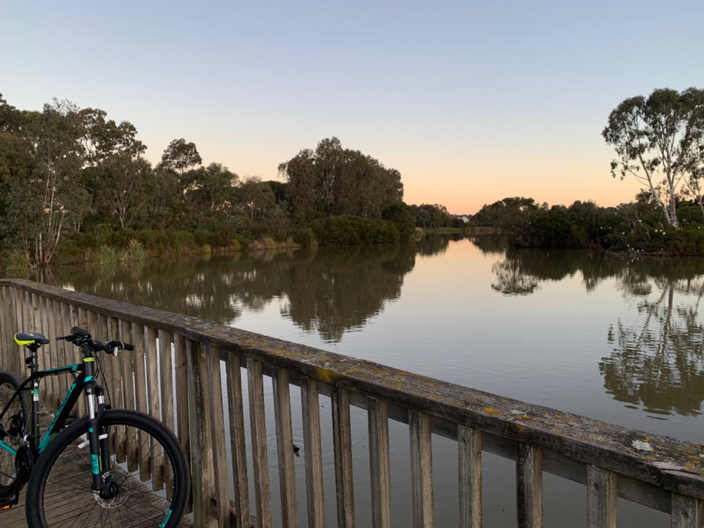 polygon cascade 4.0 review