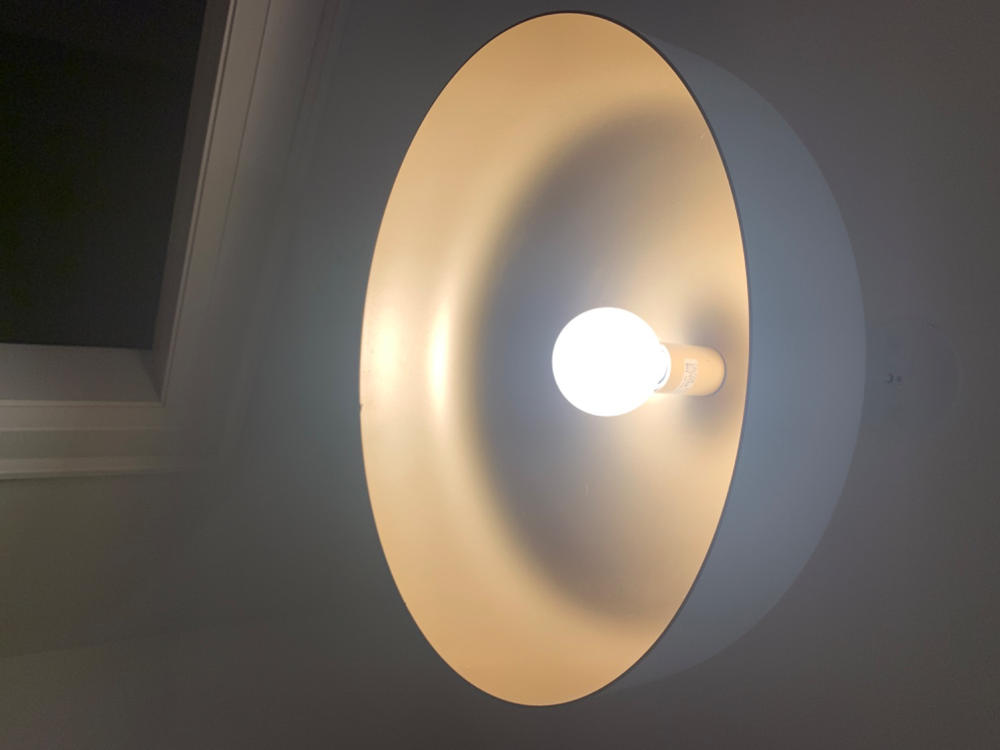 Helena 17" Dome Pendant - Customer Photo From Maya Pelley