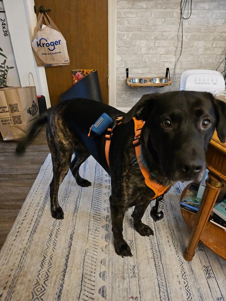 Dog Poop Bag Holder - Customer Photo From Julianne Jaenke