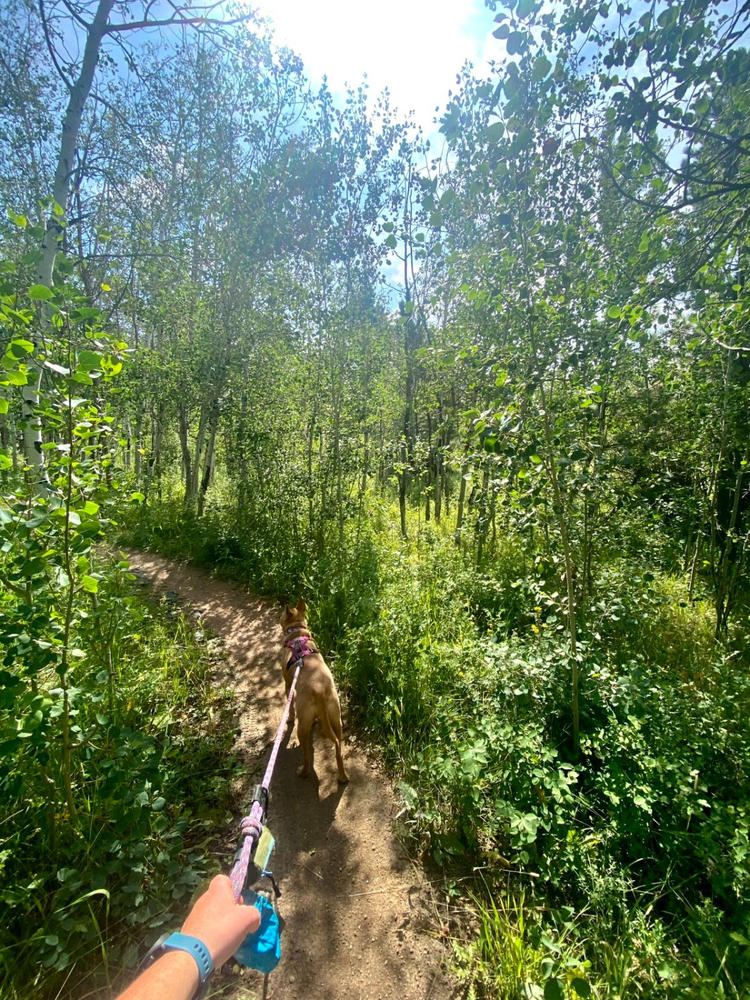 Dog Poop Bag Holder Wilderdog