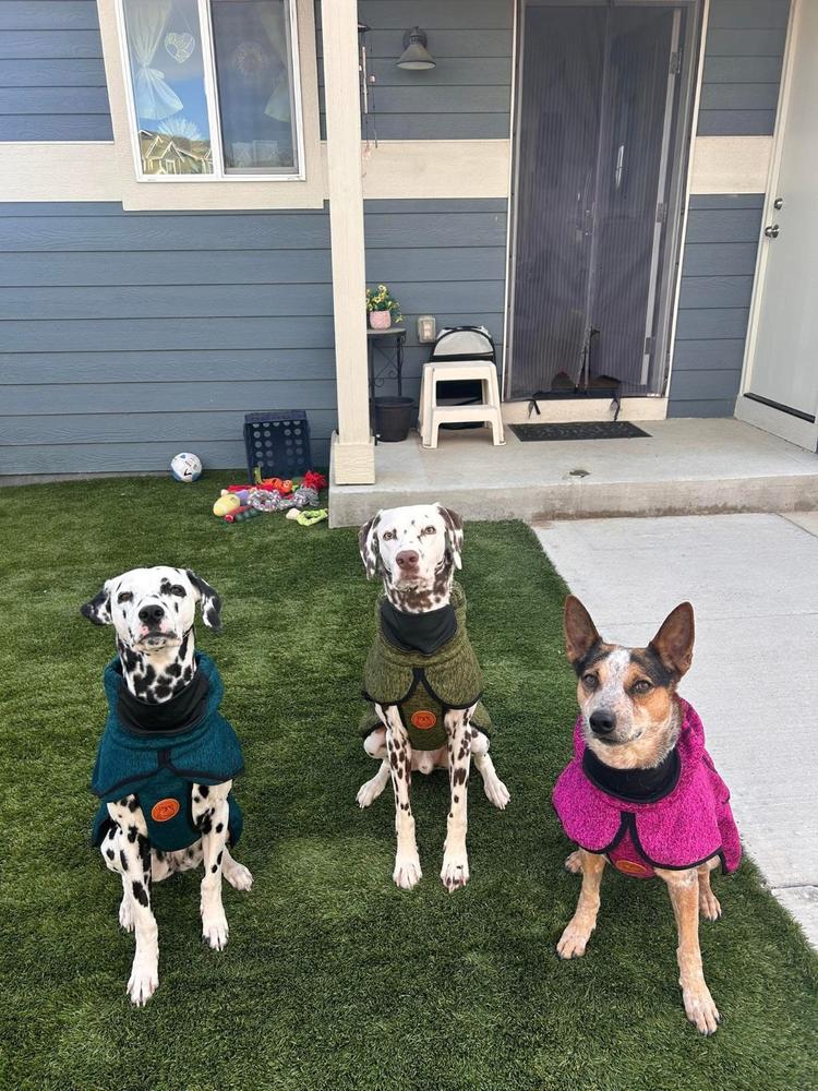 Fleece Jacket - Customer Photo From Anonymous