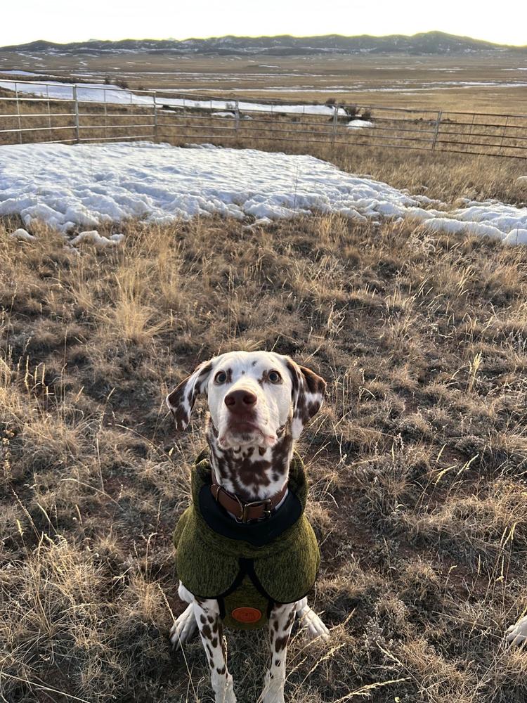 Fleece Jacket - Customer Photo From Anonymous