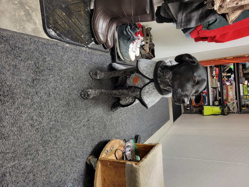 Fleece Jacket - Customer Photo From Jason Panozzo