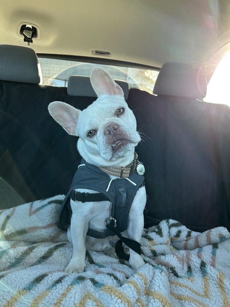 Sherpa Fleece Waterproof Blanket - Customer Photo From Amber Van Ausdell