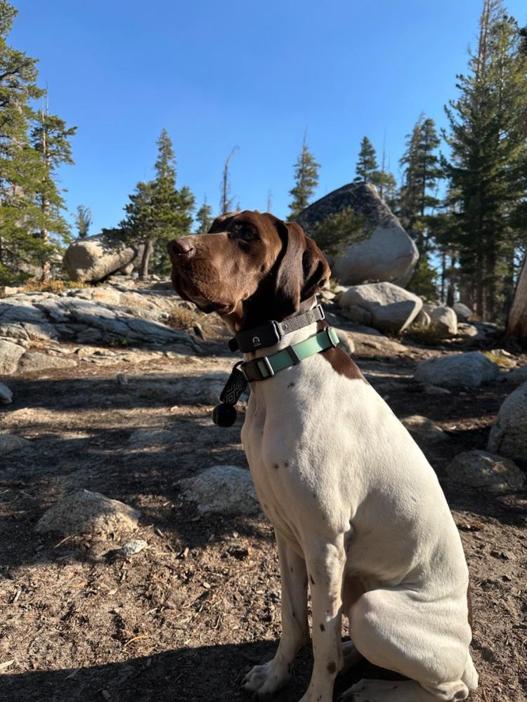 Backcountry Bell - Customer Photo From Michele Villa