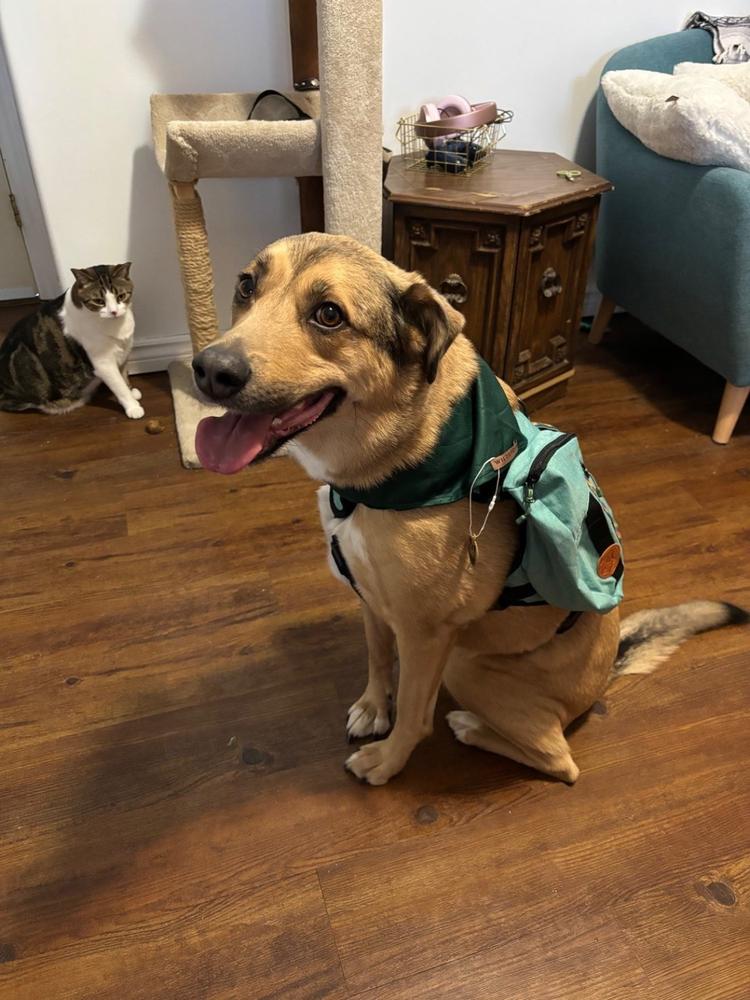 Dog Backpack - Customer Photo From Marissa Miller