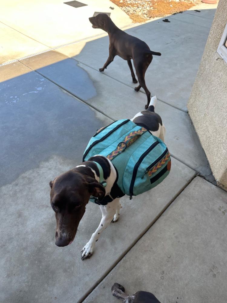 Dog Backpack - Customer Photo From Michele Villa