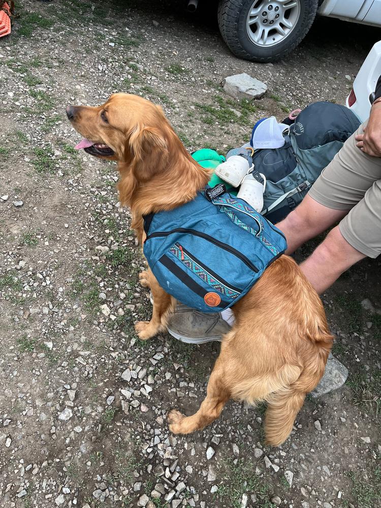 Dog Backpack - Customer Photo From Keara
