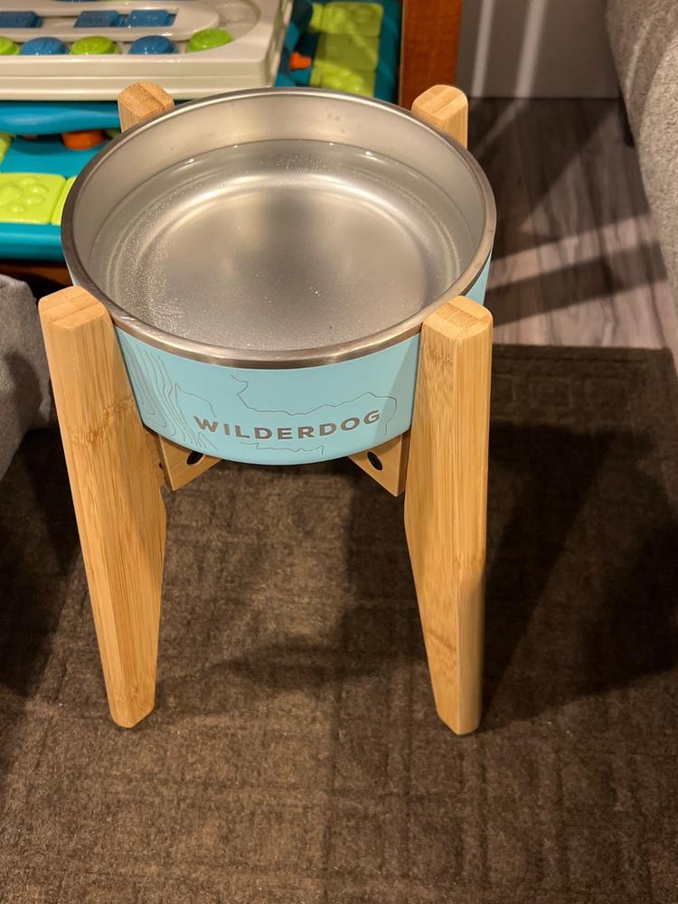 Stainless Steel Dog Bowl - Customer Photo From Jason Friedman