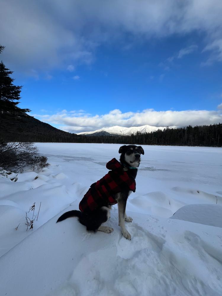 Plaid Shacket - Customer Photo From Jenny