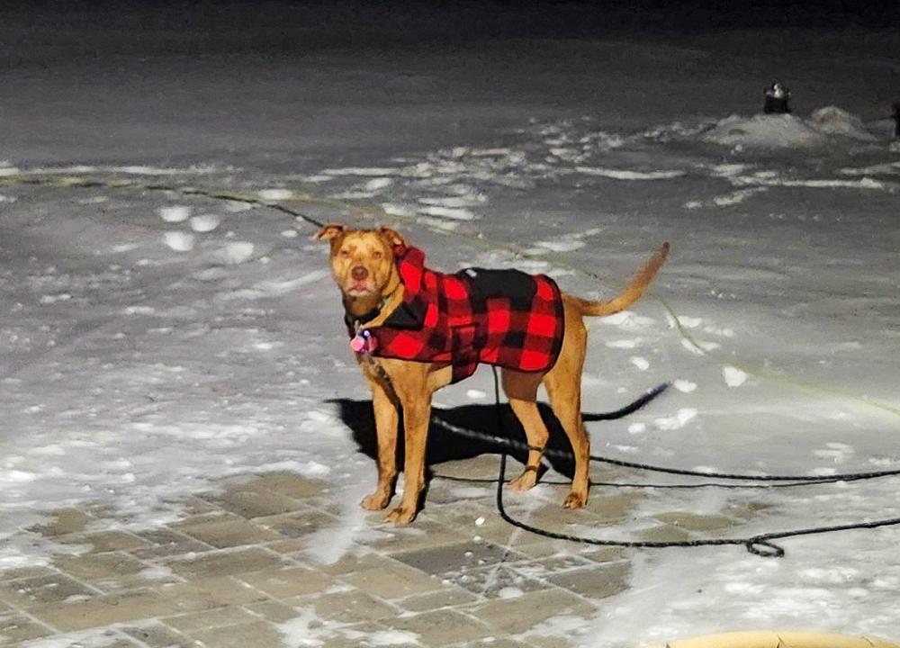 Plaid Shacket - Customer Photo From Caryn 
