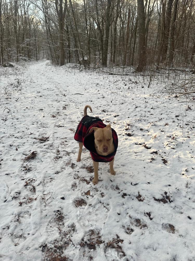 Plaid Shacket - Customer Photo From Olivia