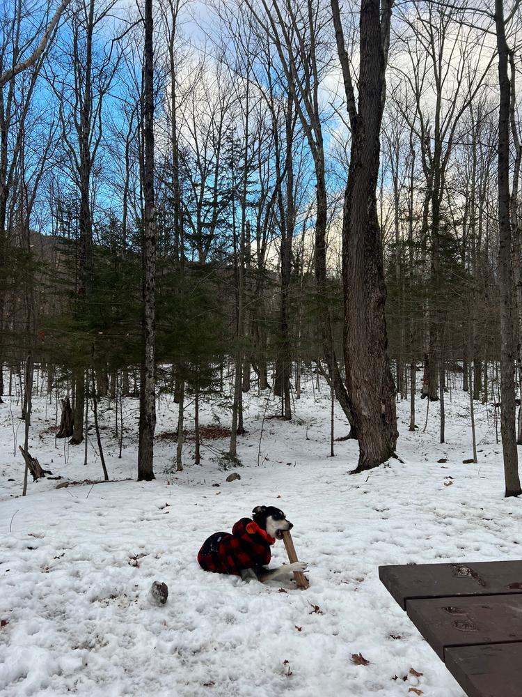 Plaid Shacket - Customer Photo From Jenny
