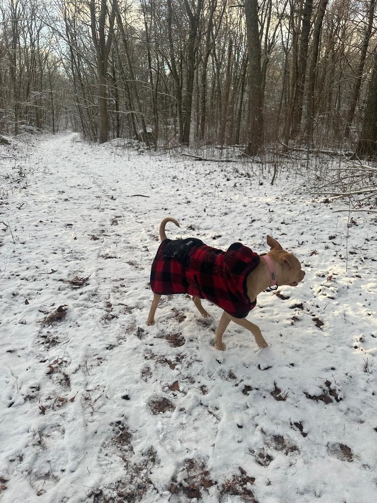 Plaid Shacket - Customer Photo From Olivia