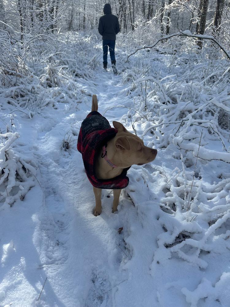 Plaid Shacket - Customer Photo From Olivia