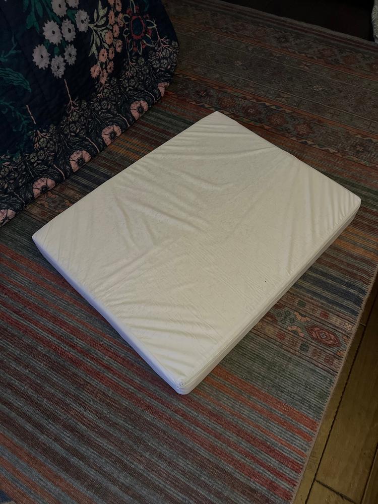 Memory Foam Dog Bed - Customer Photo From Becca