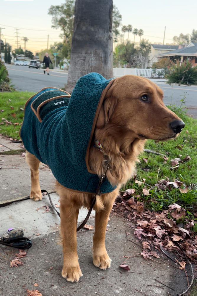 Dog sherpa outlet sweater