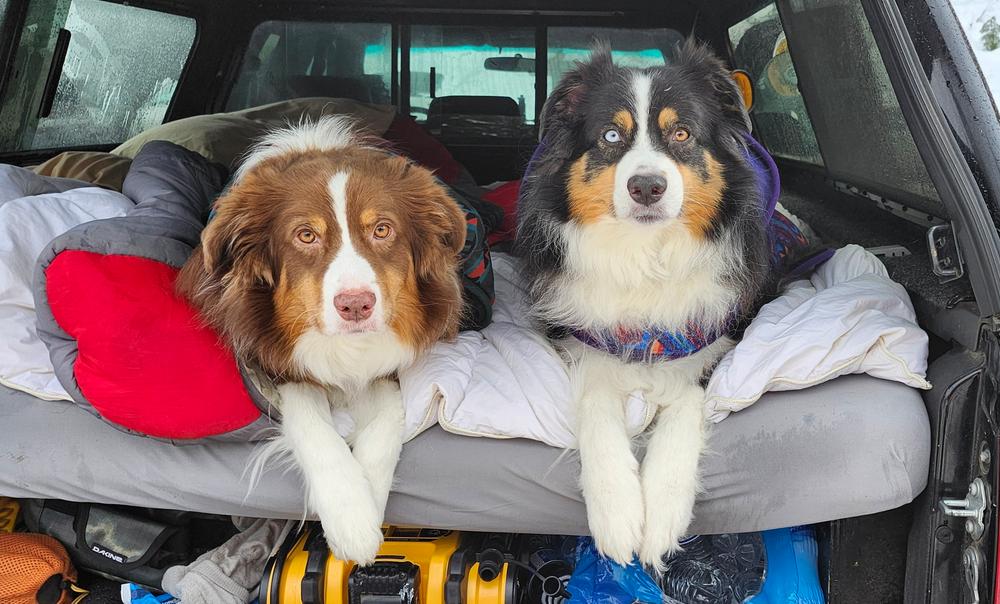 Big Sky Fleece Jacket - Customer Photo From Chase ojala