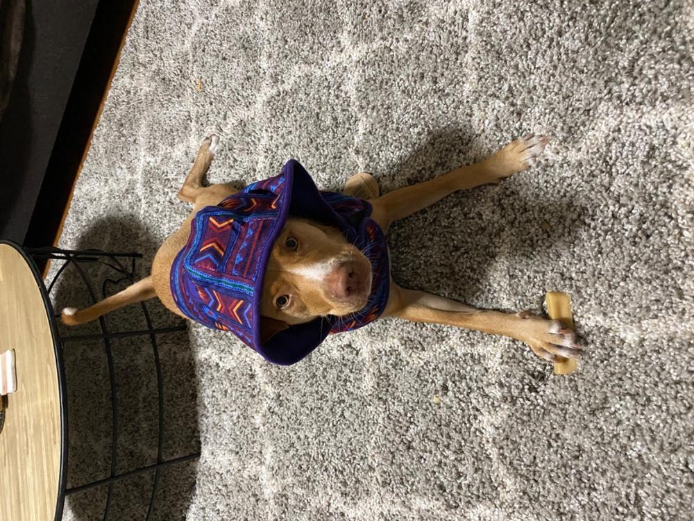 Big Sky Fleece Jacket - Customer Photo From Anonymous