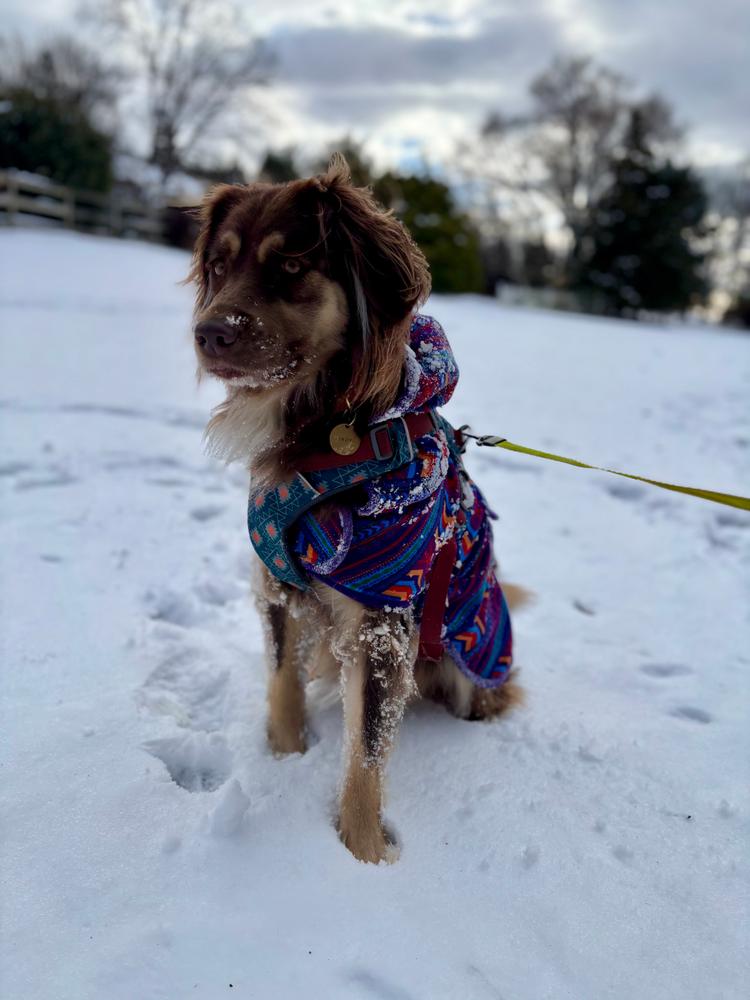 Big Sky Fleece Jacket - Customer Photo From Anna 